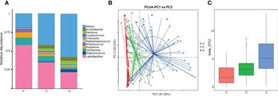 Analysis of the microbiota composition in the genital tract of infertile patients with chronic endometritis or endometrial polyps